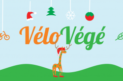 Vélo Végé - Restaurant Bio – Toulouse